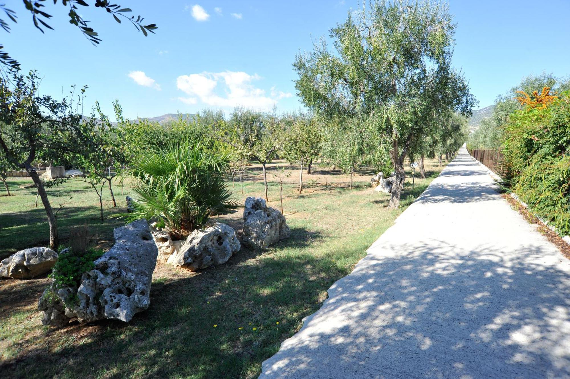 Case Vacanze Uliveto Mattinata Bagian luar foto